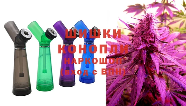 спайс Алзамай