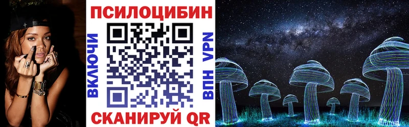 Псилоцибиновые грибы мухоморы mega ТОР Николаевск сколько стоит